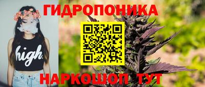 шишки Гусь-Хрустальный
