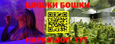 шишки Гусь-Хрустальный