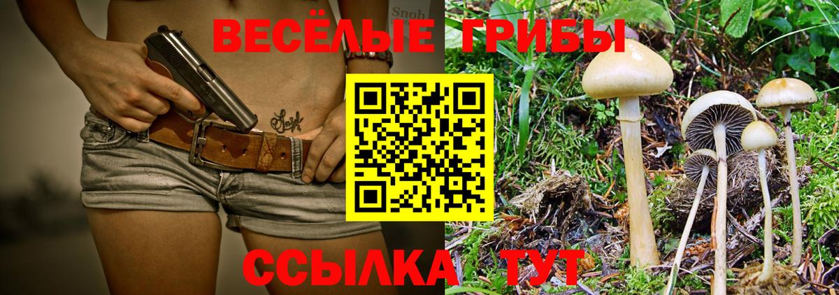 Псилоцибиновые грибы MAGIC MUSHROOMS Можга