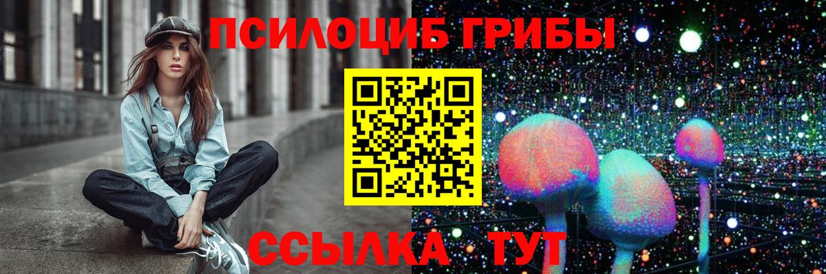 Можга  Псилоцибиновые грибы мухоморы  Вход с VPN 
